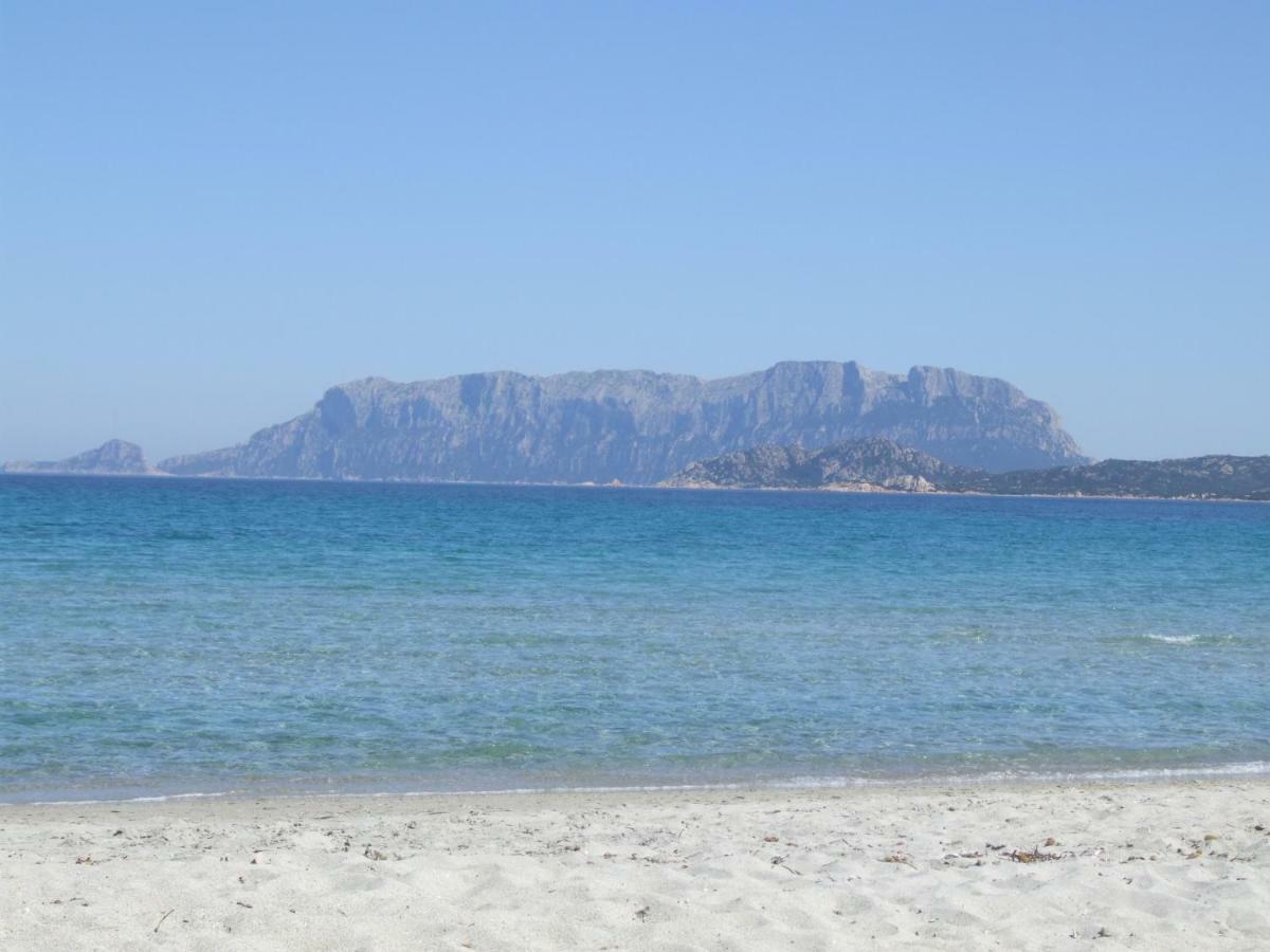 Villa Mansion On The Hill Olbia Exterior foto